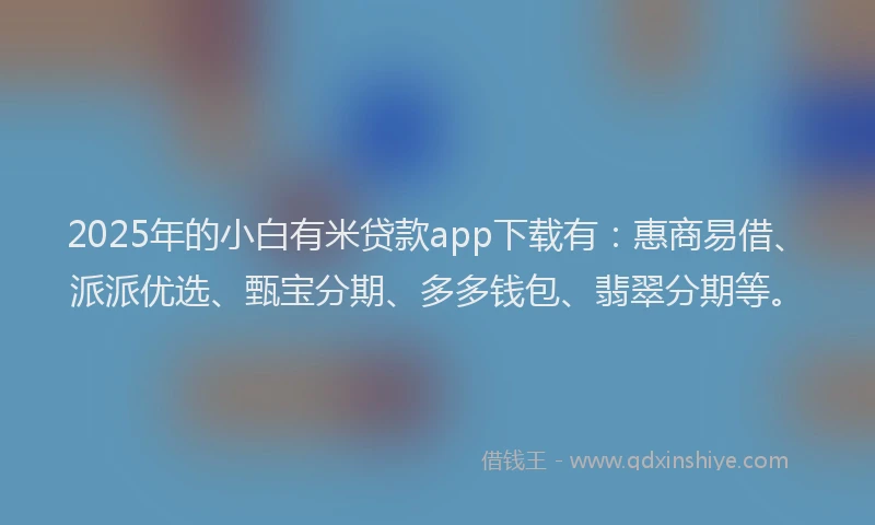 2025年的小白有米贷款app下载有：惠商易借、派派优选、甄宝分期、多多钱包、翡翠分期等。