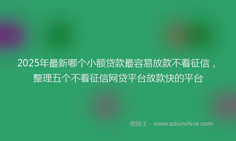 2025年最新哪个小额贷款最容易放款不看征信，整理五个不看征信网贷平台放款快的平台
