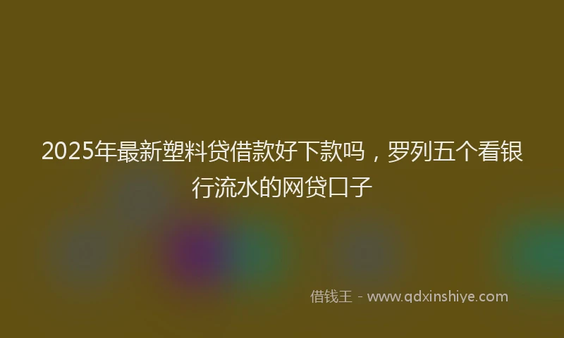 2025年最新塑料贷借款好下款吗，罗列五个看银行流水的网贷口子