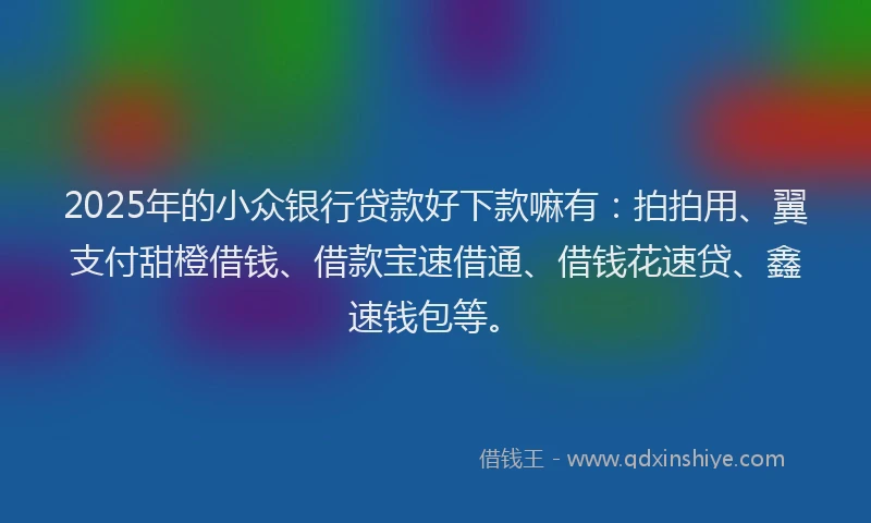 2025年的小众银行贷款好下款嘛有：拍拍用、翼支付甜橙借钱、借款宝速借通、借钱花速贷、鑫速钱包等。