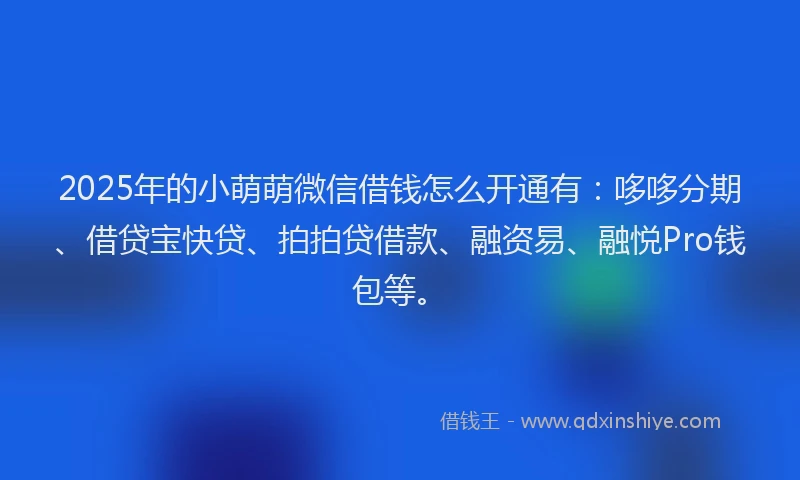 2025年的小萌萌微信借钱怎么开通有：哆哆分期、借贷宝快贷、拍拍贷借款、融资易、融悦Pro钱包等。