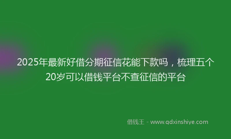 2025年最新好借分期征信花能下款吗，梳理五个20岁可以借钱平台不查征信的平台