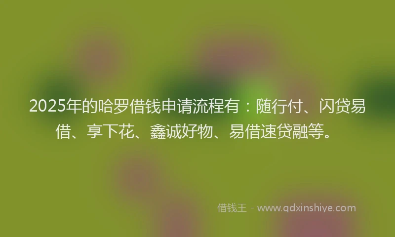2025年的哈罗借钱申请流程有：随行付、闪贷易借、享下花、鑫诚好物、易借速贷融等。