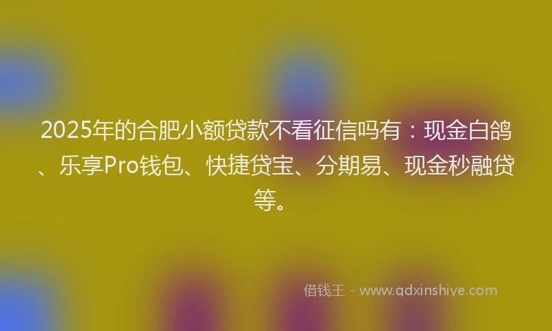 2025年的合肥小额贷款不看征信吗有：现金白鸽、乐享Pro钱包、快捷贷宝、分期易、现金秒融贷等。