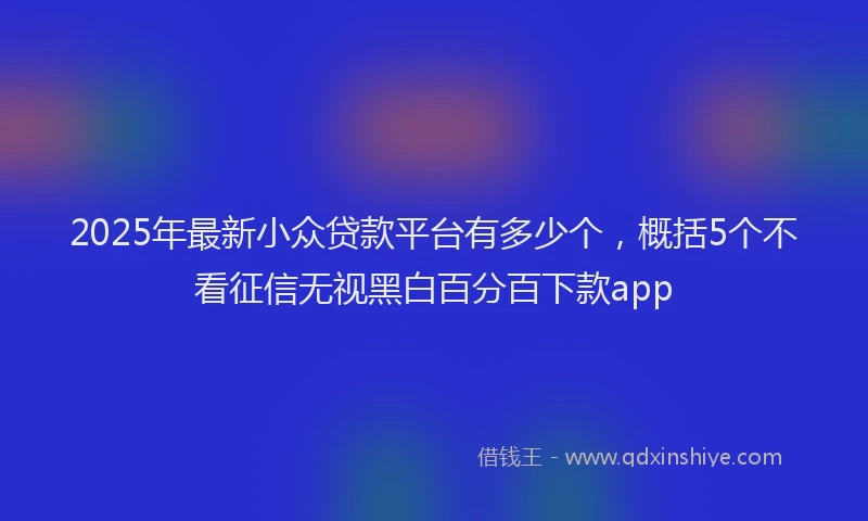2025年最新小众贷款平台有多少个，概括5个不看征信无视黑白百分百下款app