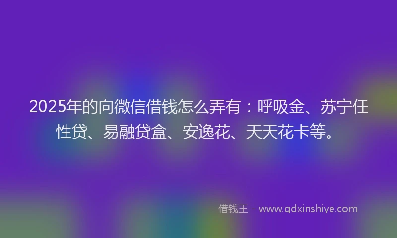 2025年的向微信借钱怎么弄有：呼吸金、苏宁任性贷、易融贷盒、安逸花、天天花卡等。