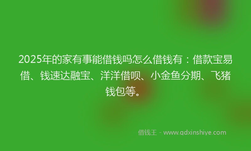 2025年的家有事能借钱吗怎么借钱有：借款宝易借、钱速达融宝、洋洋借呗、小金鱼分期、飞猪钱包等。