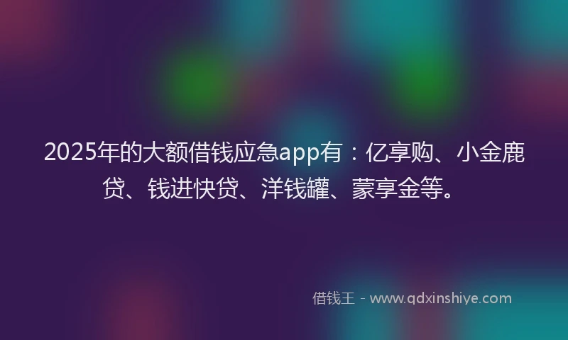 2025年的大额借钱应急app有：亿享购、小金鹿贷、钱进快贷、洋钱罐、蒙享金等。
