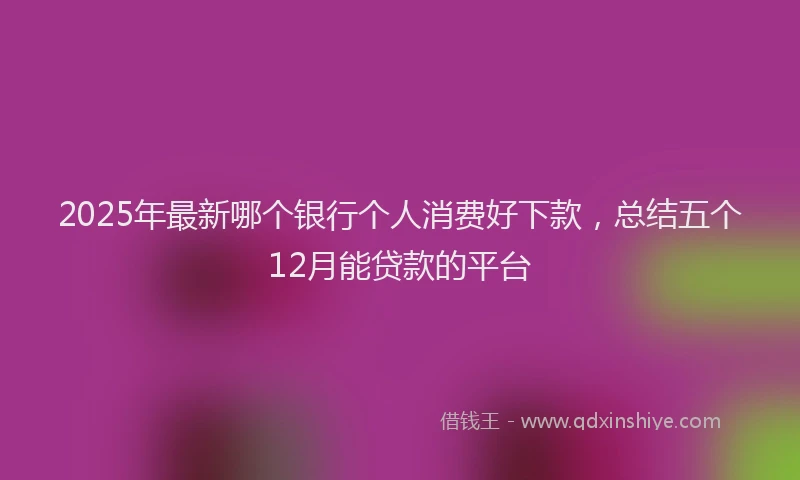 2025年最新哪个银行个人消费好下款，总结五个12月能贷款的平台