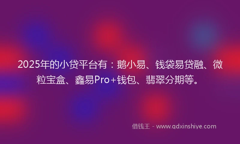2025年的小贷平台有：鹅小易、钱袋易贷融、微粒宝盒、鑫易Pro+钱包、翡翠分期等。