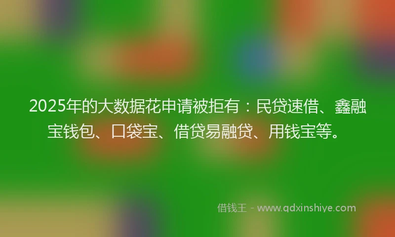 2025年的大数据花申请被拒有：民贷速借、鑫融宝钱包、口袋宝、借贷易融贷、用钱宝等。