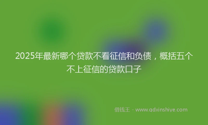 2025年最新哪个贷款不看征信和负债，概括五个不上征信的贷款口子
