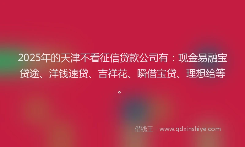 2025年的天津不看征信贷款公司有：现金易融宝贷途、洋钱速贷、吉祥花、瞬借宝贷、理想给等。