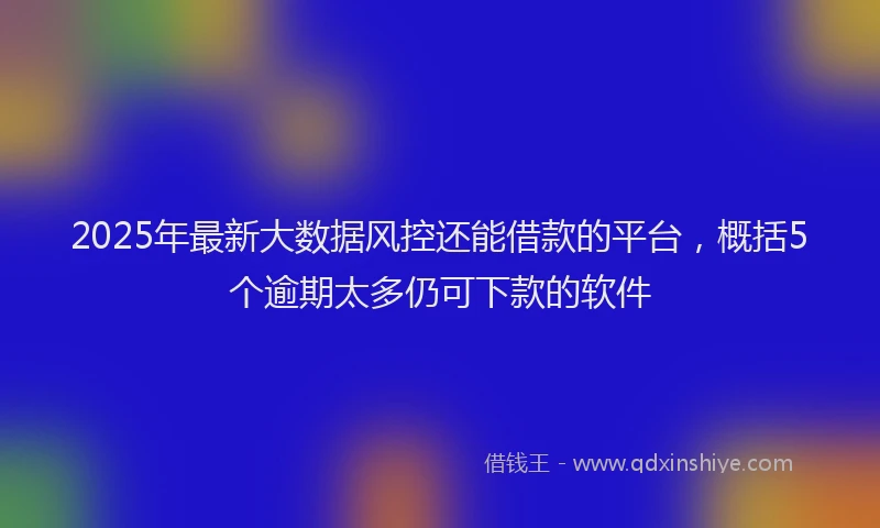 2025年最新大数据风控还能借款的平台，概括5个逾期太多仍可下款的软件