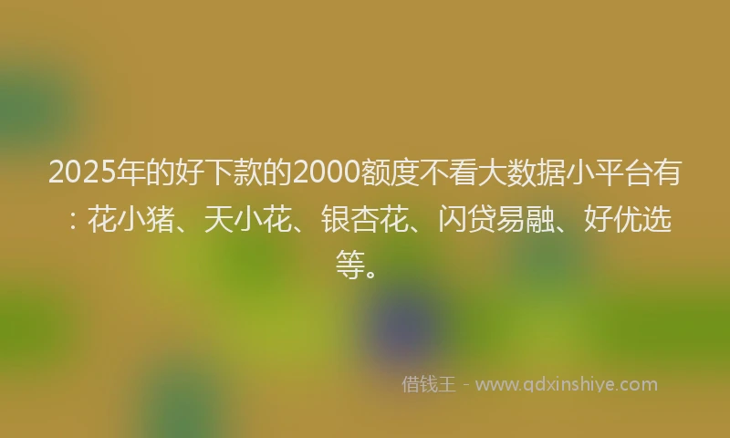 2025年的好下款的2000额度不看大数据小平台有：花小猪、天小花、银杏花、闪贷易融、好优选等。