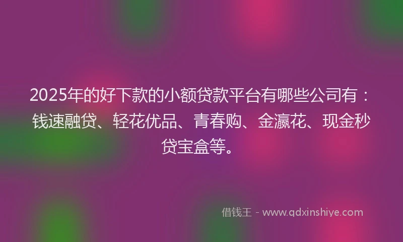 2025年的好下款的小额贷款平台有哪些公司有：钱速融贷、轻花优品、青春购、金瀛花、现金秒贷宝盒等。