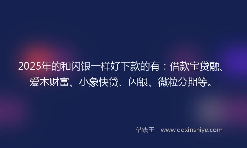 2025年的和闪银一样好下款的有：借款宝贷融、爱木财富、小象快贷、闪银、微粒分期等。