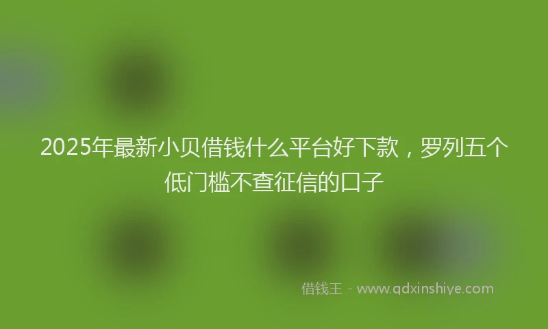 2025年最新小贝借钱什么平台好下款，罗列五个低门槛不查征信的口子