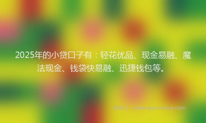 2025年的小贷口子有：轻花优品、现金易融、魔法现金、钱袋快易融、迅捷钱包等。