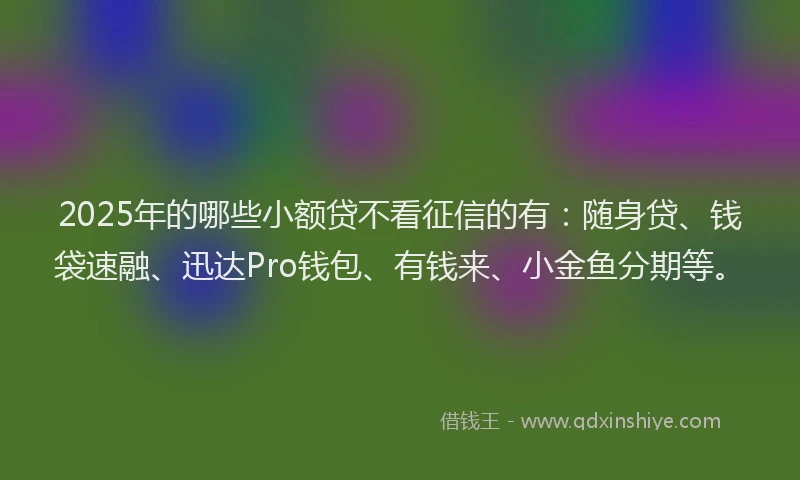 2025年的哪些小额贷不看征信的有：随身贷、钱袋速融、迅达Pro钱包、有钱来、小金鱼分期等。