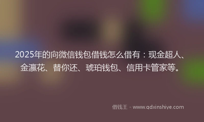 2025年的向微信钱包借钱怎么借有：现金超人、金瀛花、替你还、琥珀钱包、信用卡管家等。