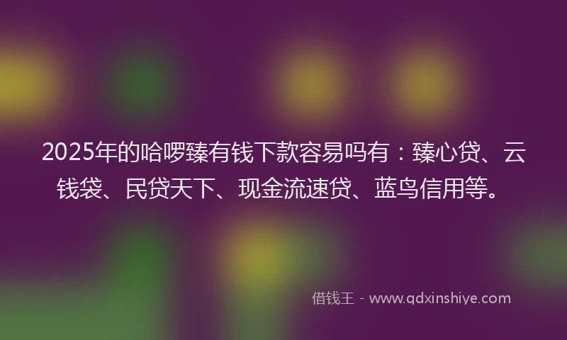 2025年的哈啰臻有钱下款容易吗有：臻心贷、云钱袋、民贷天下、现金流速贷、蓝鸟信用等。