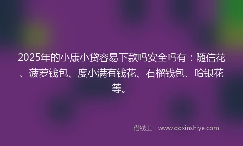 2025年的小康小贷容易下款吗安全吗有：随信花、菠萝钱包、度小满有钱花、石榴钱包、哈银花等。