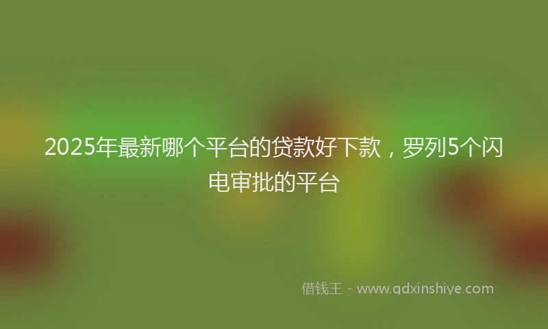 2025年最新哪个平台的贷款好下款，罗列5个闪电审批的平台