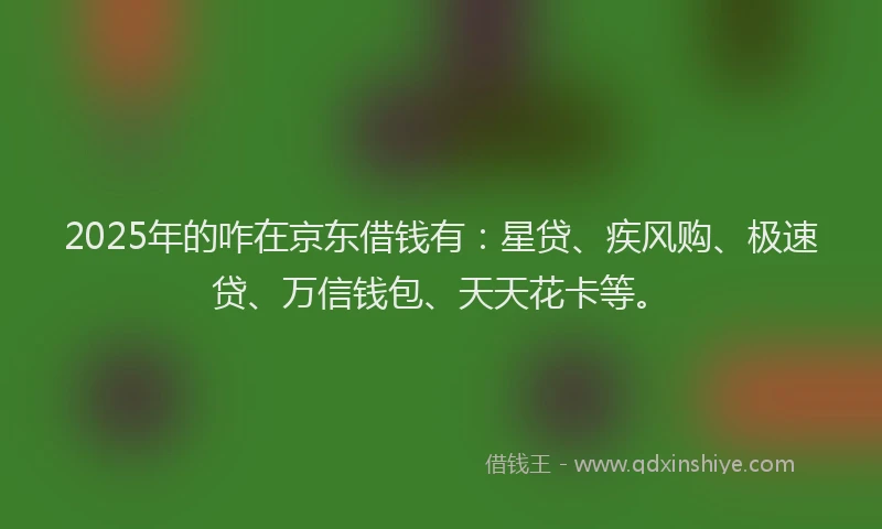 2025年的咋在京东借钱有：星贷、疾风购、极速贷、万信钱包、天天花卡等。