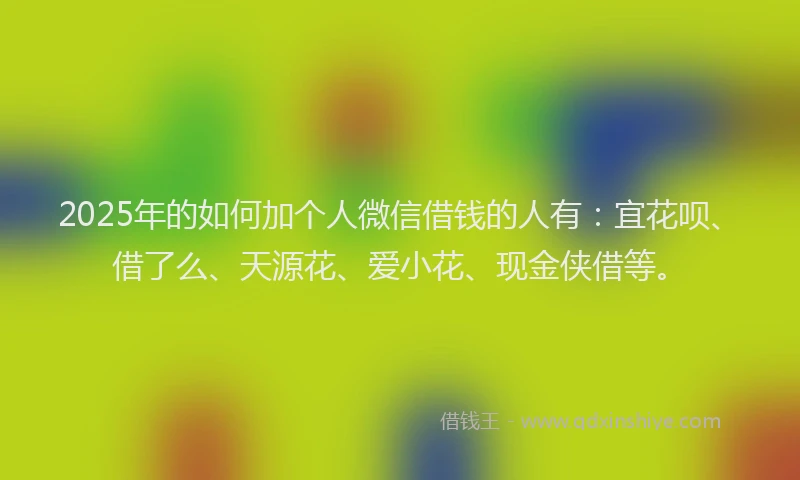 2025年的如何加个人微信借钱的人有：宜花呗、借了么、天源花、爱小花、现金侠借等。