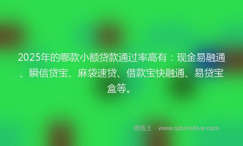 2025年的哪款小额贷款通过率高有：现金易融通、瞬信贷宝、麻袋速贷、借款宝快融通、易贷宝盒等。