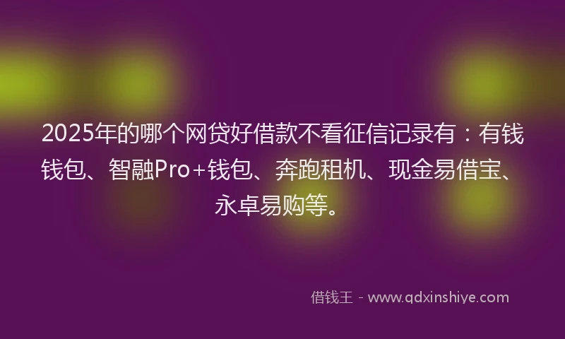 2025年的哪个网贷好借款不看征信记录有：有钱钱包、智融Pro+钱包、奔跑租机、现金易借宝、永卓易购等。