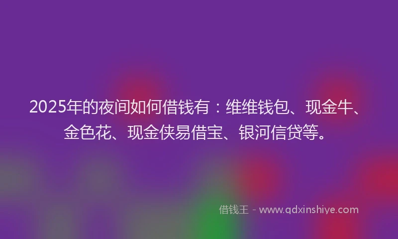 2025年的夜间如何借钱有：维维钱包、现金牛、金色花、现金侠易借宝、银河信贷等。