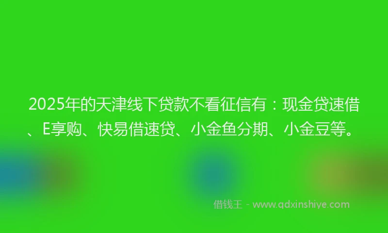 2025年的天津线下贷款不看征信有：现金贷速借、E享购、快易借速贷、小金鱼分期、小金豆等。