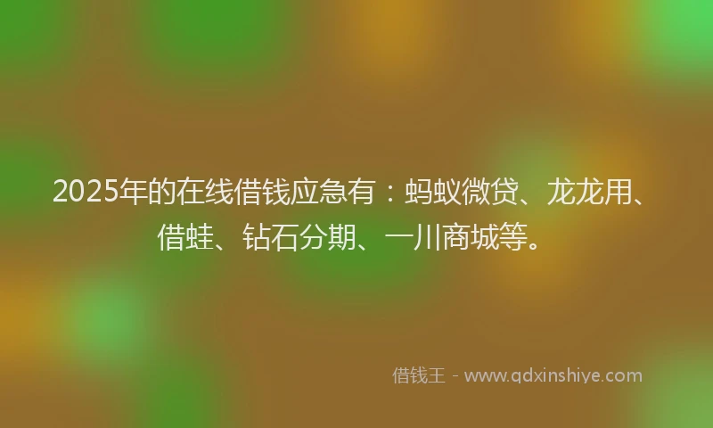2025年的在线借钱应急有：蚂蚁微贷、龙龙用、借蛙、钻石分期、一川商城等。