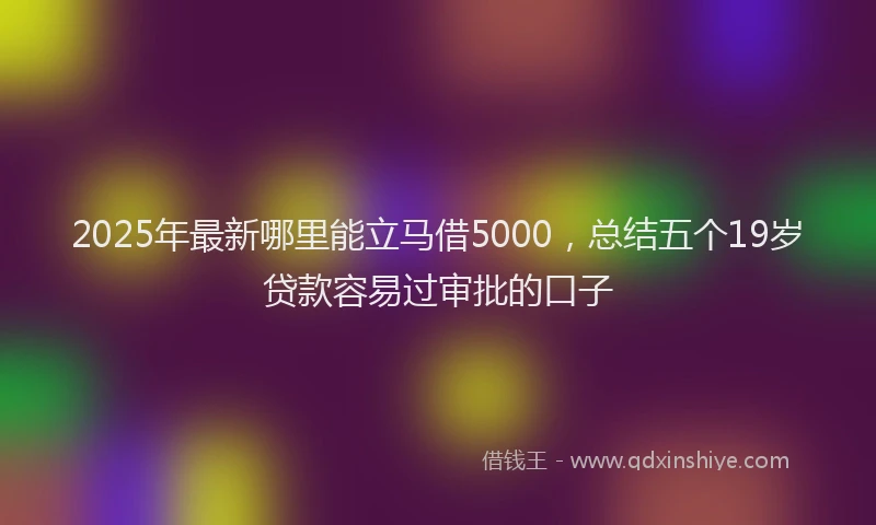 2025年最新哪里能立马借5000，总结五个19岁贷款容易过审批的口子