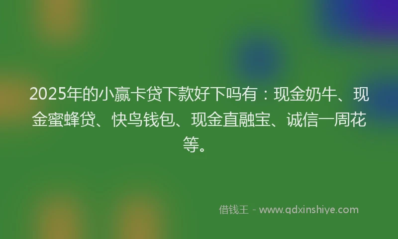 2025年的小赢卡贷下款好下吗有：现金奶牛、现金蜜蜂贷、快鸟钱包、现金直融宝、诚信一周花等。