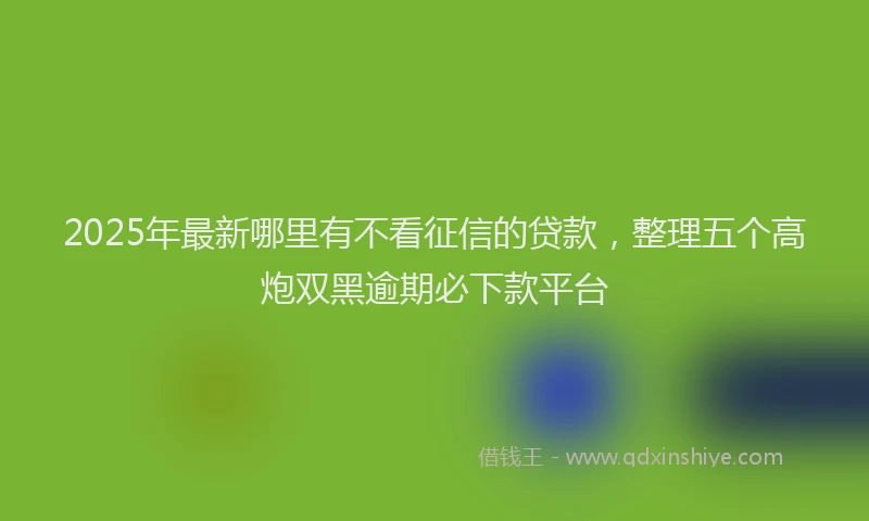 2025年最新哪里有不看征信的贷款，整理五个高炮双黑逾期必下款平台
