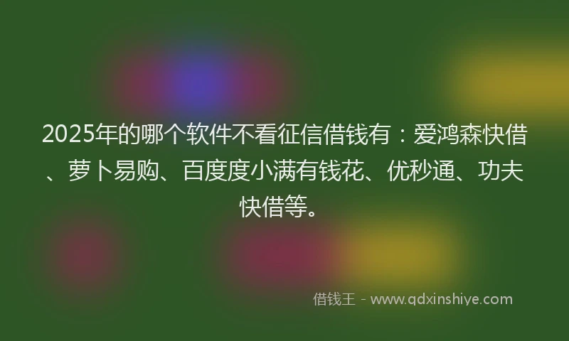 2025年的哪个软件不看征信借钱有：爱鸿森快借、萝卜易购、百度度小满有钱花、优秒通、功夫快借等。