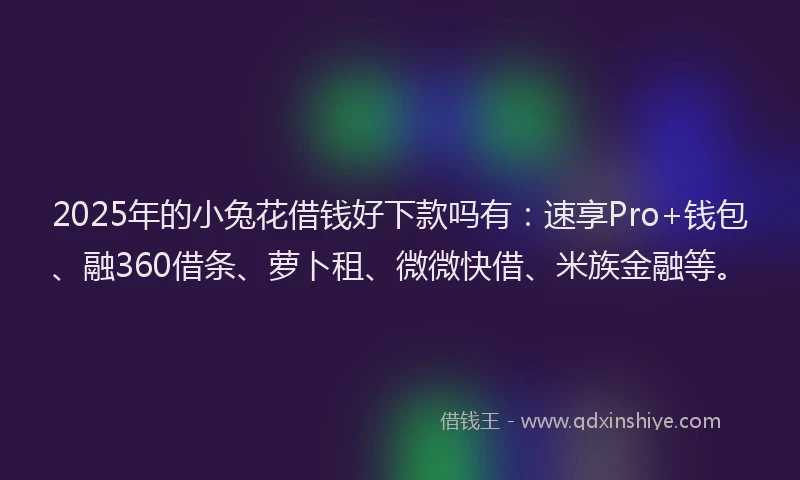 2025年的小兔花借钱好下款吗有：速享Pro+钱包、融360借条、萝卜租、微微快借、米族金融等。