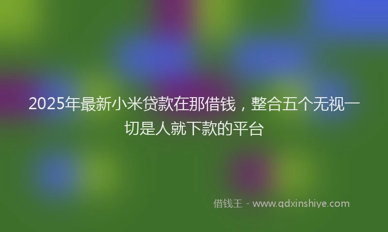 2025年最新小米贷款在那借钱，整合五个无视一切是人就下款的平台