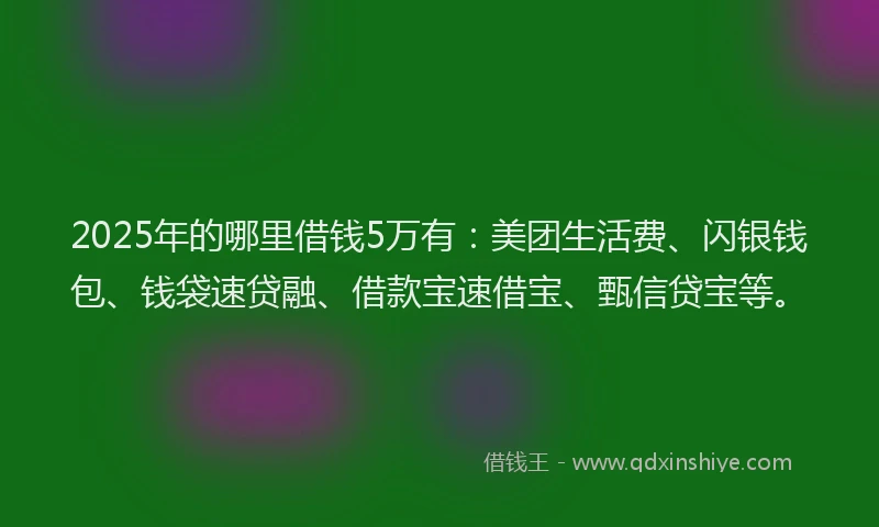 2025年的哪里借钱5万有：美团生活费、闪银钱包、钱袋速贷融、借款宝速借宝、甄信贷宝等。