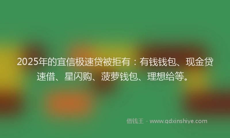 2025年的宜信极速贷被拒有：有钱钱包、现金贷速借、星闪购、菠萝钱包、理想给等。