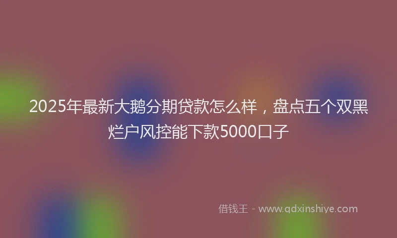 2025年最新大鹅分期贷款怎么样，盘点五个双黑烂户风控能下款5000口子