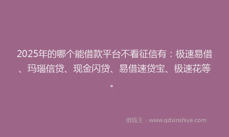 2025年的哪个能借款平台不看征信有：极速易借、玛瑙信贷、现金闪贷、易借速贷宝、极速花等。