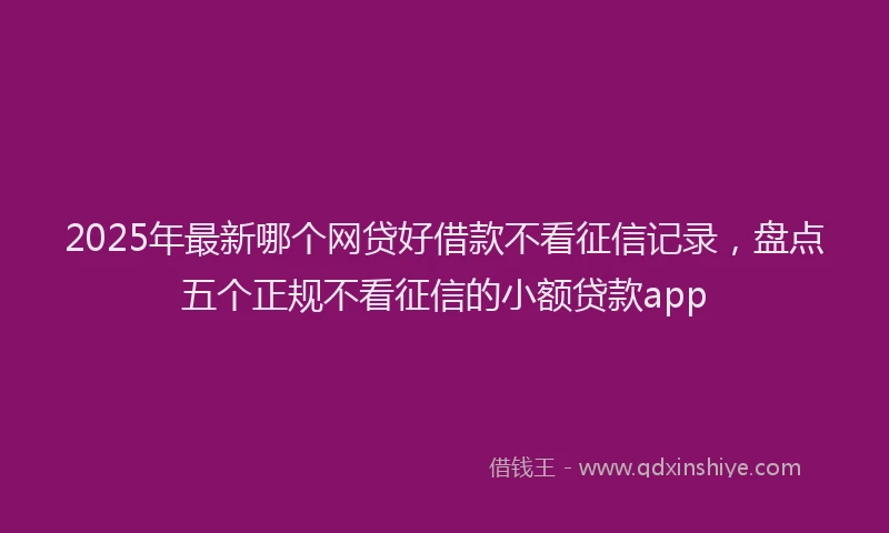 2025年最新哪个网贷好借款不看征信记录，盘点五个正规不看征信的小额贷款app