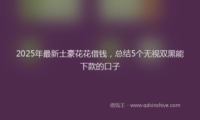 2025年最新土豪花花借钱，总结5个无视双黑能下款的口子