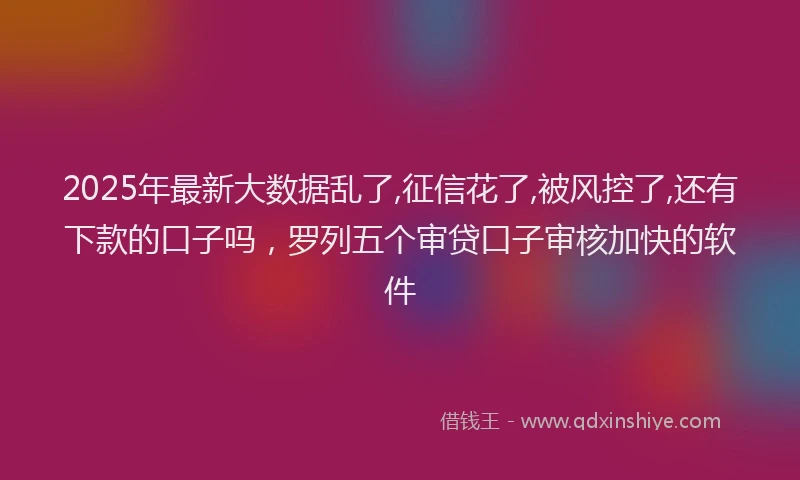 2025年最新大数据乱了,征信花了,被风控了,还有下款的口子吗，罗列五个审贷口子审核加快的软件