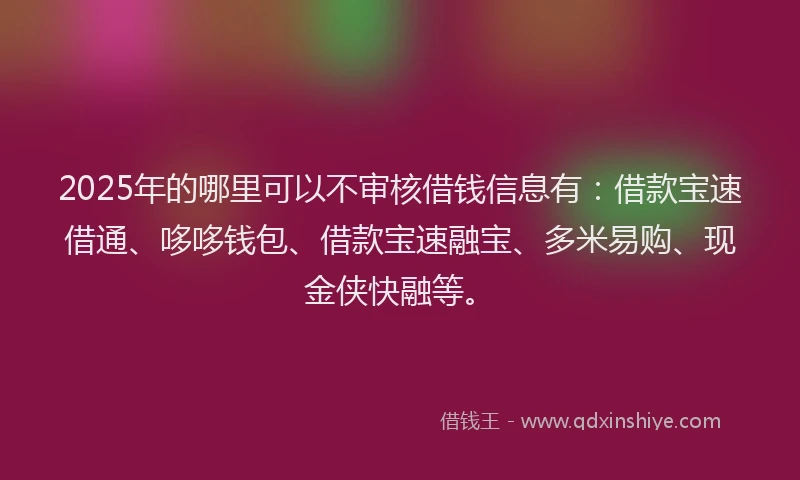 2025年的哪里可以不审核借钱信息有：借款宝速借通、哆哆钱包、借款宝速融宝、多米易购、现金侠快融等。