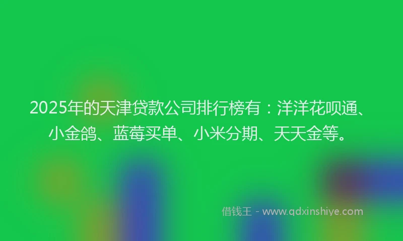 2025年的天津贷款公司排行榜有：洋洋花呗通、小金鸽、蓝莓买单、小米分期、天天金等。